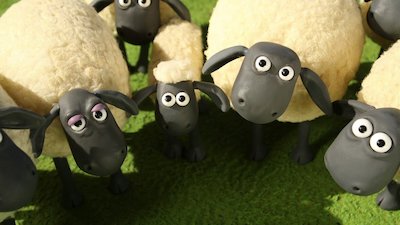 Shaun the Sheep Season 2 Episode 8