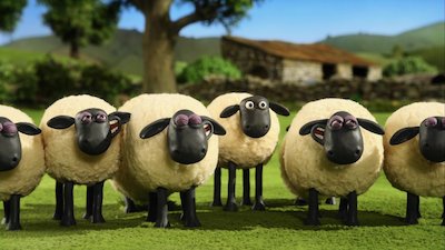 Shaun the Sheep Season 3 Episode 3