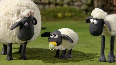 Watch Shaun the Sheep Season 1 Episode 11 - Buzz off Bees/ Timmy in a ...