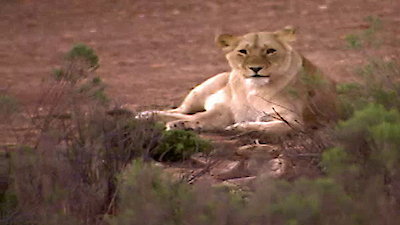 America's Next Top Model Season 4 Episode 9