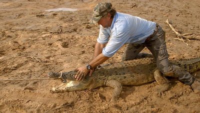 Watch Outback Wrangler Season 3 Episode 8 - The Croc That Ate a Boat Online  Now