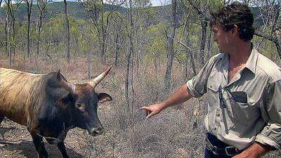 Outback Wrangler Season 1 Episode 3