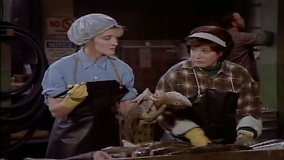 Wings Season 4 Episode 15