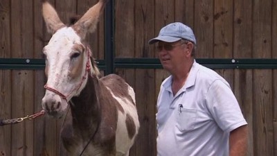 Bayou Billionaires Season 2 Episode 6