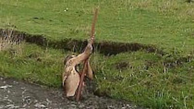 The Amazing Race Season 12 Episode 2