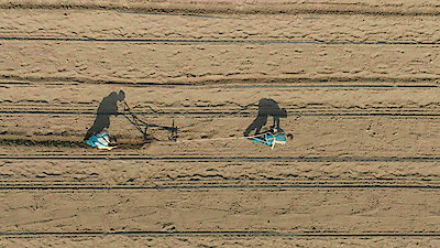 The Amazing Race Season 38 Episode 3