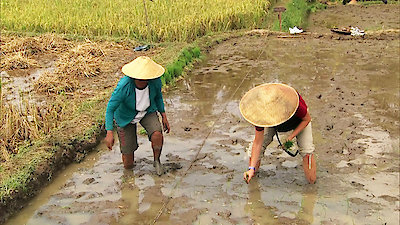 The Amazing Race Season 19 Episode 3