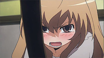 Watch Toradora! Episode 1 Online - Tiger and Dragon