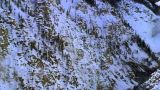 Yellowstone