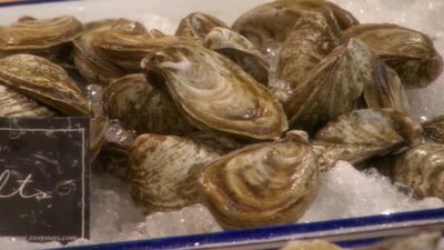 Emeril's Table Season 1 Episode 19