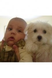 Puppies vs. Babies