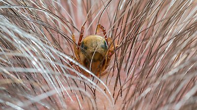 Catalyst Season 16 Episode 3