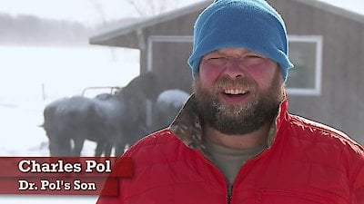 The Incredible Dr. Pol Season 15 Episode 5