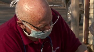 The Incredible Dr. Pol Season 20 Episode 1