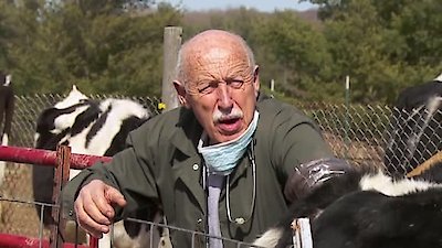 The Incredible Dr. Pol Season 20 Episode 3