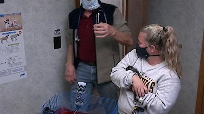 The Incredible Dr. Pol Season 20 Episode 9