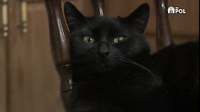 The Incredible Dr. Pol Season 21 Episode 6