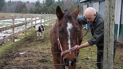 The Incredible Dr. Pol Season 17 Episode 10