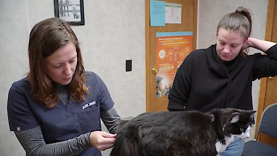 The Incredible Dr. Pol Season 23 Episode 7