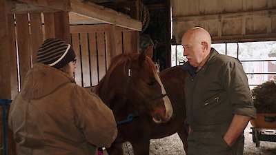 The Incredible Dr. Pol Season 23 Episode 10