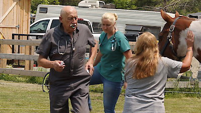 The Incredible Dr. Pol Season 24 Episode 2