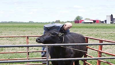 The Incredible Dr. Pol Season 2 Episode 8