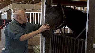 The Incredible Dr. Pol Season 2 Episode 9