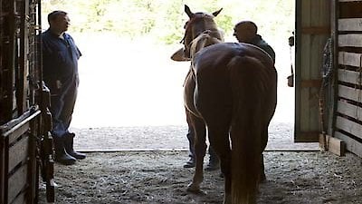 The Incredible Dr. Pol Season 2 Episode 14