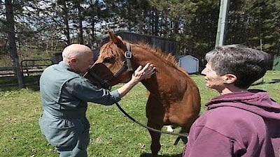 The Incredible Dr. Pol Season 2 Episode 16