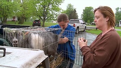 The Incredible Dr. Pol Season 4 Episode 5