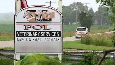 The Incredible Dr. Pol Season 4 Episode 9