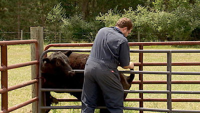 The Incredible Dr. Pol Season 4 Episode 10