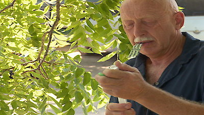 The Incredible Dr. Pol Season 5 Episode 1