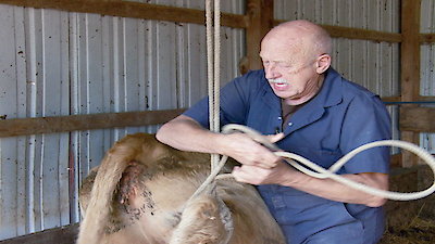 The Incredible Dr. Pol Season 5 Episode 4