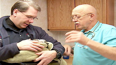 The Incredible Dr. Pol Season 6 Episode 4