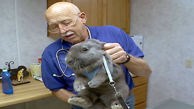The Incredible Dr. Pol Season 6 Episode 8