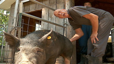 The Incredible Dr. Pol Season 7 Episode 3
