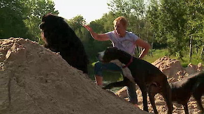 The Incredible Dr. Pol Season 7 Episode 6