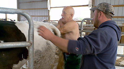 The Incredible Dr. Pol Season 7 Episode 9
