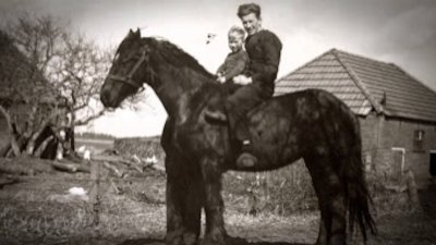 The Incredible Dr. Pol Season 8 Episode 1