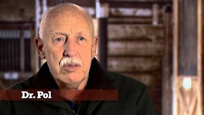 The Incredible Dr. Pol Season 8 Episode 2