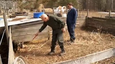 The Incredible Dr. Pol Season 8 Episode 5