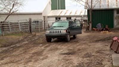 The Incredible Dr. Pol Season 8 Episode 6