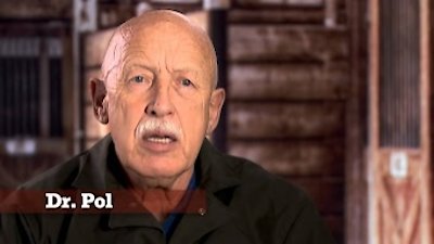 The Incredible Dr. Pol Season 8 Episode 9