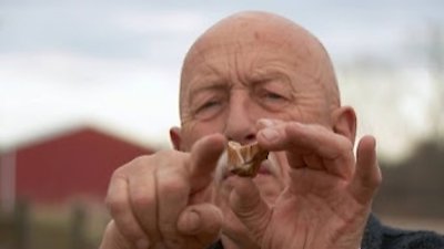 The Incredible Dr. Pol Season 9 Episode 4