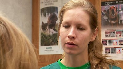 The Incredible Dr. Pol Season 9 Episode 11