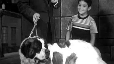 People Are Funny Season 1 Episode 4