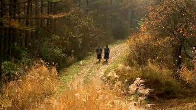 Gyebaek Season 1 Episode 31