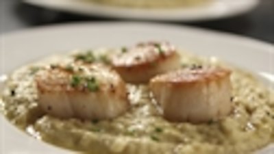 Barefoot Contessa: Back to Basics Season 15 Episode 1