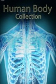 Human Body Collection